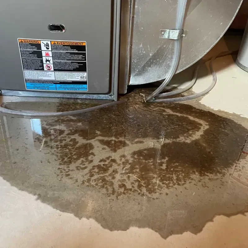 Appliance Leak Cleanup in La Harpe, IL